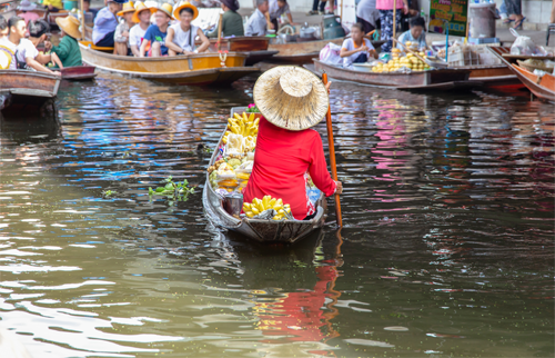 Floating Market & Elephant ride 20 min 0