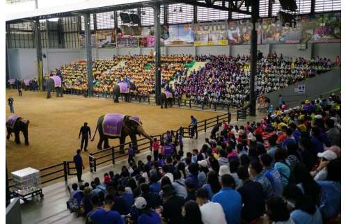 Nong Nooch Garden Tour Included show