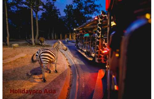 Chiang Mai Night Safari